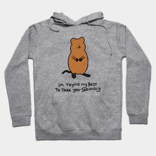 Grumpy Quokka Hoodie